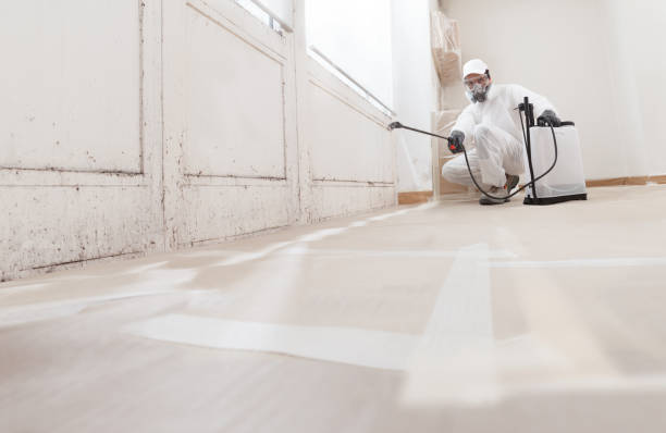 24/7 Emergency Black Mold Removal experts in Willow Spring, NC